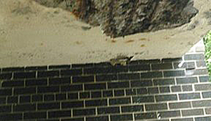 concrete bridge damage